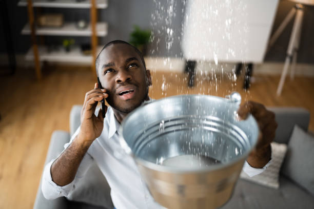 Best Basement water damage restoration  in Port Lavaca, TX