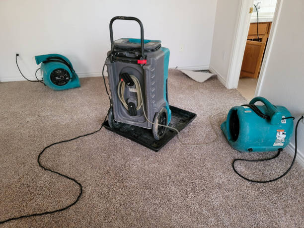Best Water damage restoration company  in Port Lavaca, TX
